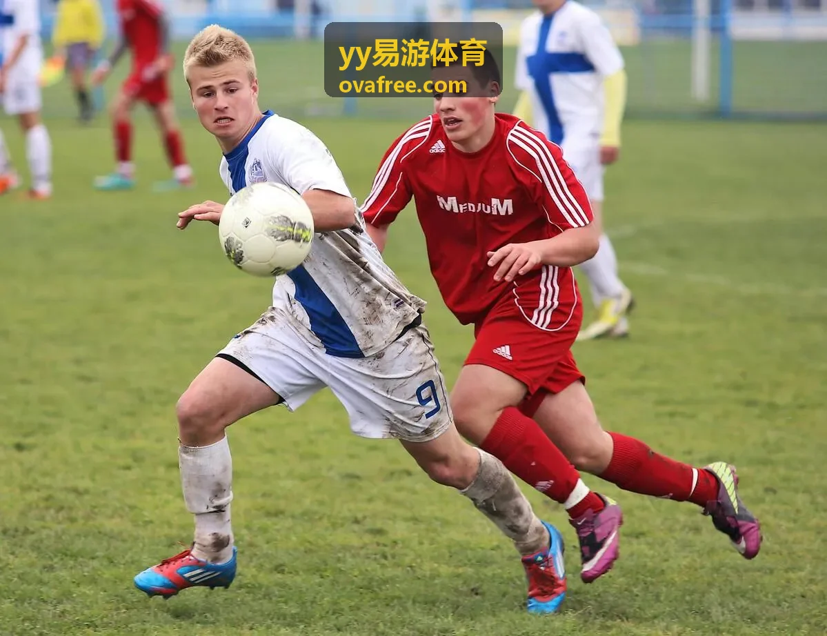 yy易游体育数据大屏展示